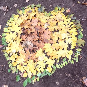 podzimní mandala